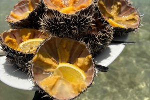 Heldag: Miljövänligt möte med delfiner och grillfest på Benitier Island