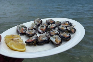 Heldag: Miljövänligt möte med delfiner och grillfest på Benitier Island