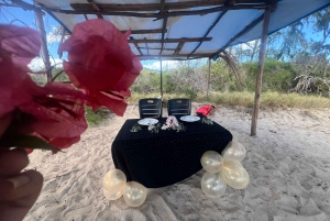 Heldag: Miljövänligt möte med delfiner och grillfest på Benitier Island