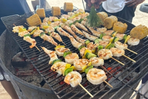 Heldag: Miljövänligt möte med delfiner och grillfest på Benitier Island