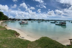 Yksityinen koko päivän kiertue Port Louisissa ja pohjoisessa