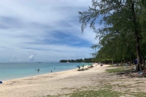 Yksityinen koko päivän kiertue Port Louisissa ja pohjoisessa