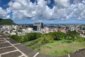 Yksityinen koko päivän kiertue Port Louisissa ja pohjoisessa