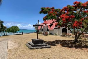 Yksityinen koko päivän kiertue Port Louisissa ja pohjoisessa