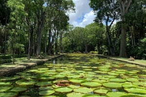 Yksityinen koko päivän kiertue Port Louisissa ja pohjoisessa