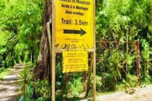 Yksityinen Patikointi le Morne-vuorella & lounas Ilot Fourneaussa