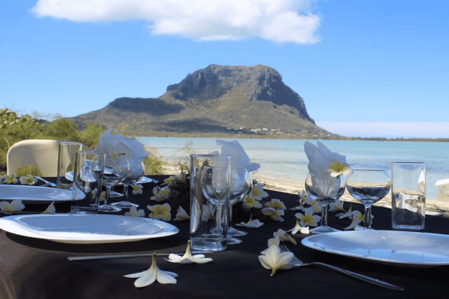 Privat båt till Île aux Bénitiers Snorkling med delfiner & hummer