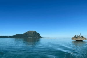 Privat båt til Île aux Bénitiers: Snorkling med delfiner og hummer