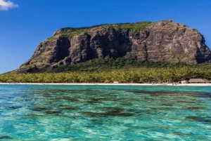 Privat båt til Île aux Bénitiers: Snorkling med delfiner og hummer