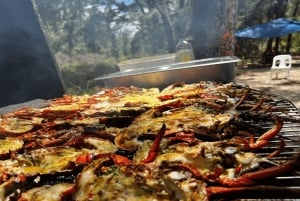 Privat båt til Île aux Bénitiers: Snorkling med delfiner og hummer