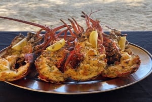 Privat båt till Île aux Bénitiers Snorkling med delfiner & hummer