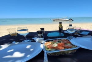 Privat båt till Île aux Bénitiers Snorkling med delfiner & hummer