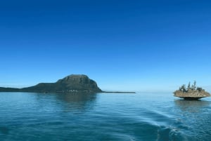 Privat båt till Île aux Bénitiers Snorkling med delfiner & hummer