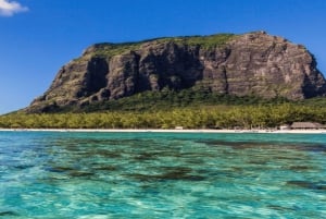 Privat båt till Île aux Bénitiers Snorkling med delfiner & hummer