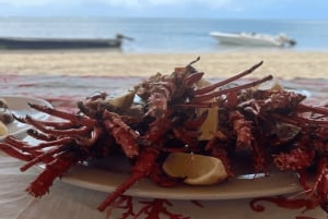 Privat båt till Île aux Bénitiers Snorkling med delfiner & hummer