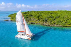 Escapada privada en catamarán a Île aux Cerfs