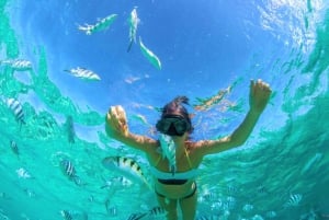 Escapada privada en catamarán a Île aux Cerfs