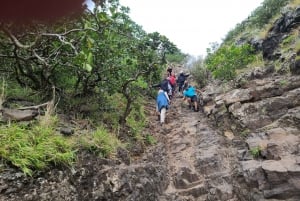 LeMorne Historischer Berg Malerische Wanderung-UNESCO Anerkannt