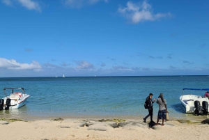 Private, Personalised & Exclusive Whale Watching