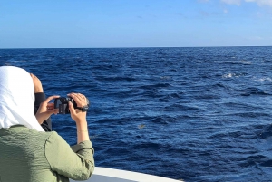 Private, Personalised & Exclusive Whale Watching