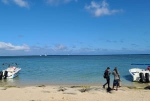 Osservazione di balene privata, personalizzata ed esclusiva