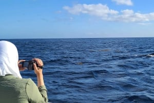 Osservazione di balene privata, personalizzata ed esclusiva