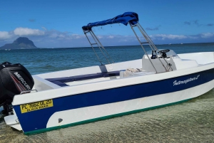 Osservazione di balene privata, personalizzata ed esclusiva