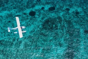 Privat vandflyvetur med malerisk udsigt over Mauritius