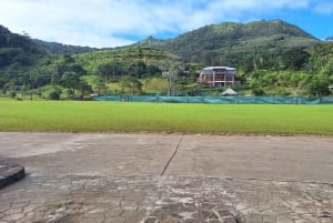 Escursione privata nel sud di Mauritius