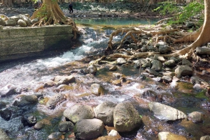 Vuelta al suroeste de Mauricio