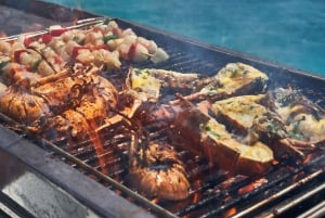 Privat upptäcktsfärd i sydöstra lagunen med motorbåt