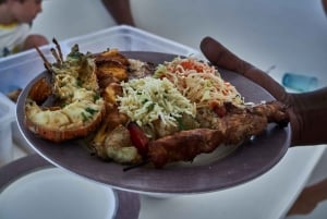 Privat upptäcktsfärd i sydöstra lagunen med motorbåt