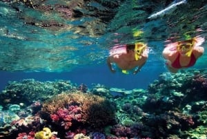 Lancha privada a Île Gabriel, Coin de Mire y Flat Island