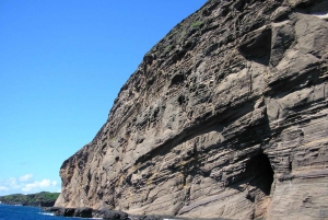 Lancha privada a Île Gabriel, Coin de Mire y Flat Island