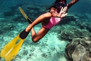 Lancha privada a Île Gabriel, Coin de Mire y Flat Island