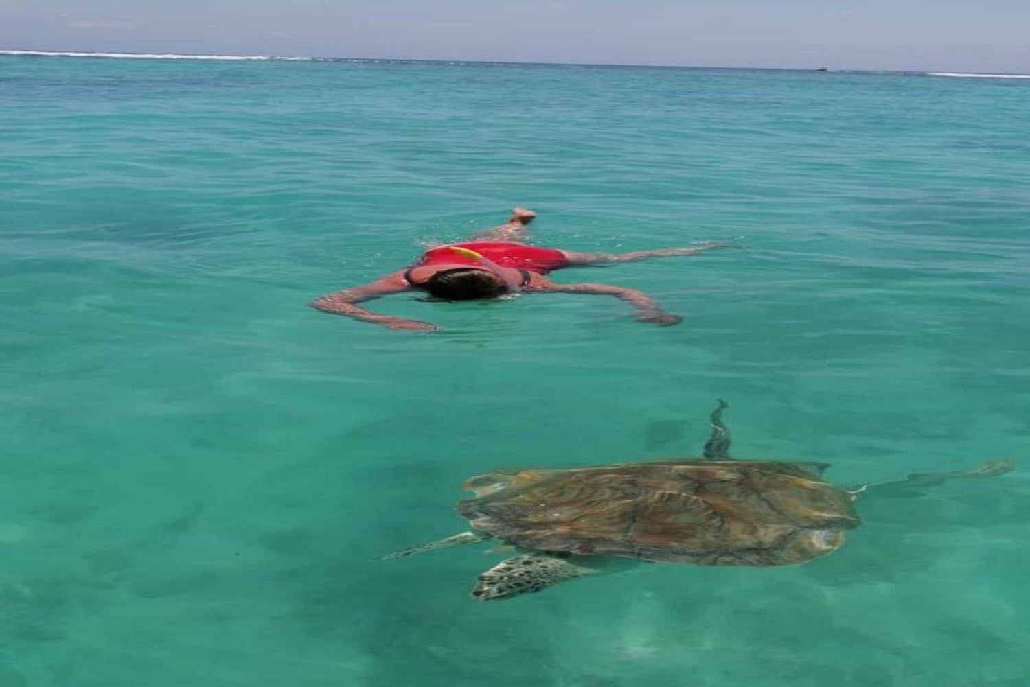 Motoscafo privato per l'isola di Bernache e le mangrovie di Mauritius