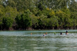 Private Speedboat to Bernache Island & Mauritius Mangroves
