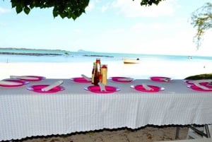 Private Speedboat to Bernache Island & Mauritius Mangroves