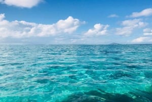 Private Speedboat to Bernache Island & Mauritius Mangroves