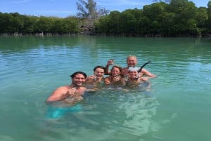 Private Speedboat to Bernache Island & Mauritius Mangroves