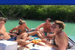 Privat motorbåt till Bernache Island och Mauritius mangroveskogar