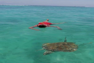 Privat motorbåt till Bernache Island och Mauritius mangroveskogar