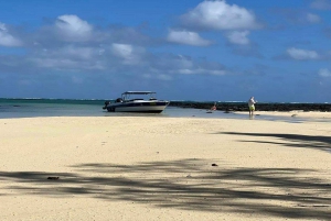Privat motorbåt till Bernache Island och Mauritius mangroveskogar