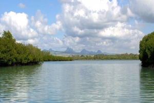 Privat motorbåt till Bernache Island och Mauritius mangroveskogar