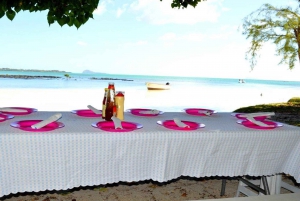 Privat motorbåt till Bernache Island och Mauritius mangroveskogar