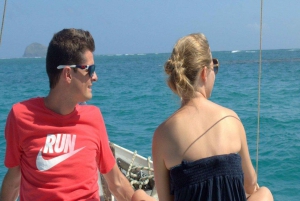 Privat motorbåt till Bernache Island och Mauritius mangroveskogar