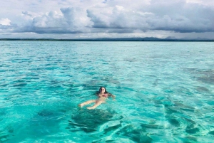 Privat motorbåt till Bernache Island och Mauritius mangroveskogar