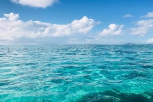 Privat motorbåt till Bernache Island och Mauritius mangroveskogar