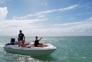 Privat motorbåt till Bernache Island och Mauritius mangroveskogar