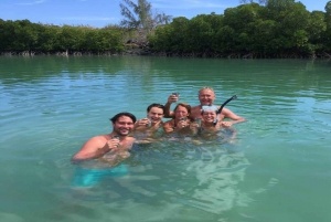 Privat motorbåt till Bernache Island och Mauritius mangroveskogar